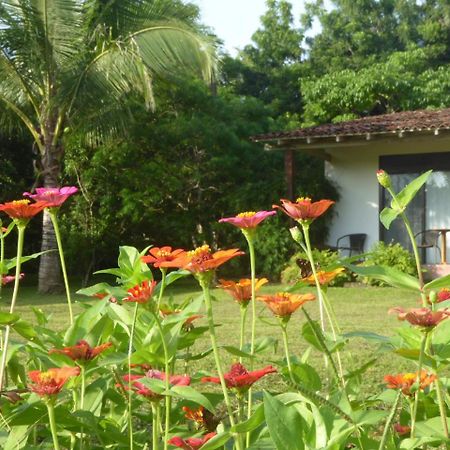 La Rosa De Los Vientos Bed & Breakfast Pedasi Town Exterior foto