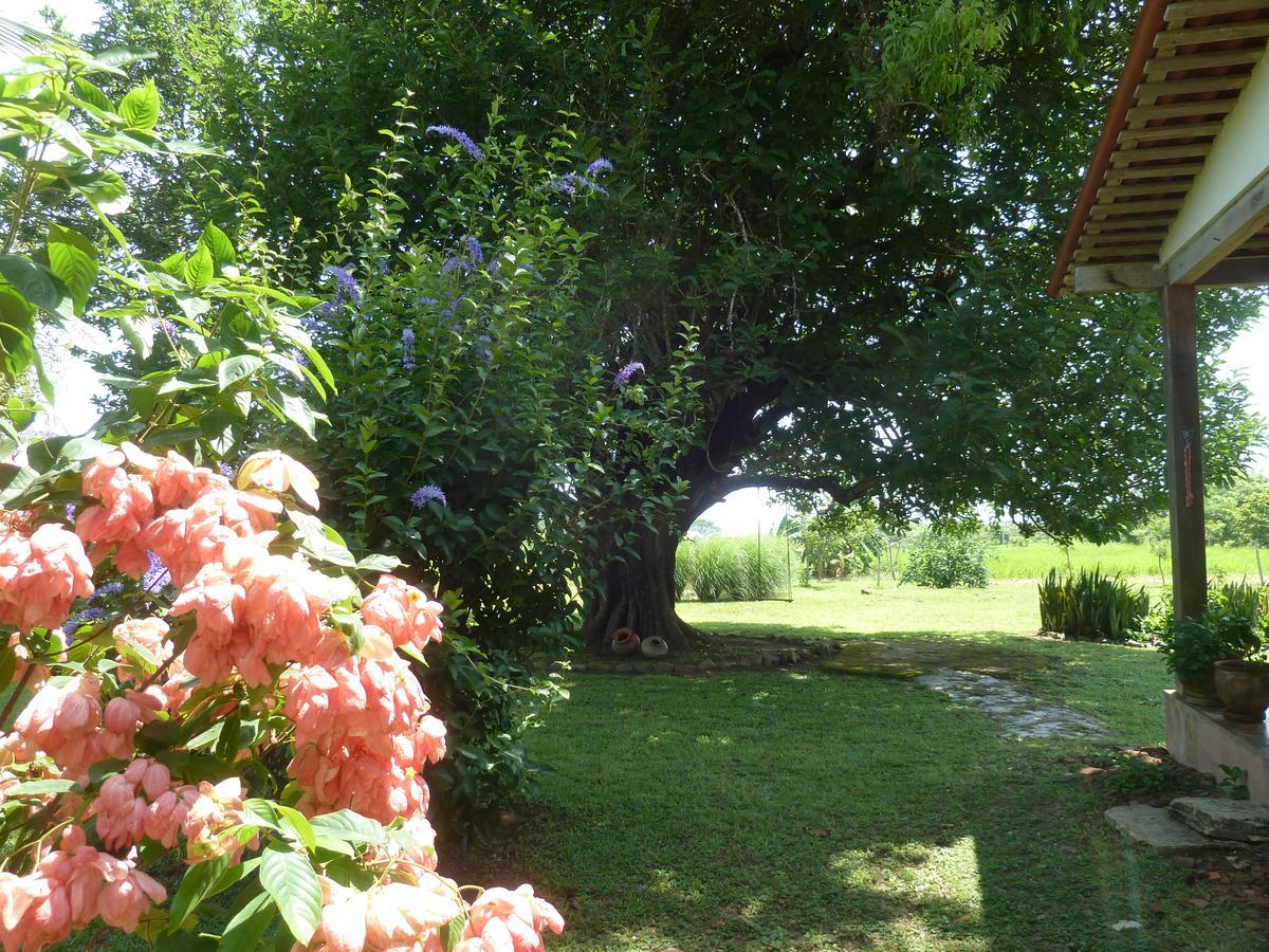 La Rosa De Los Vientos Bed & Breakfast Pedasi Town Exterior foto